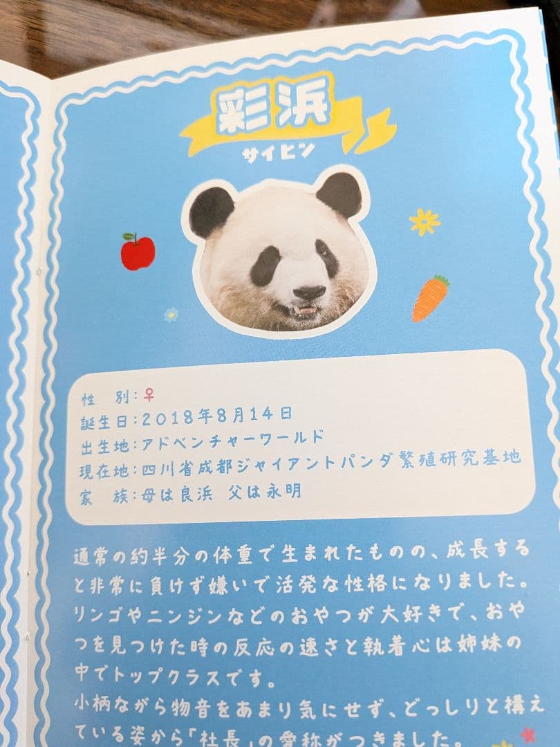 ウエノデパンダ 浜家 桃浜 彩浜