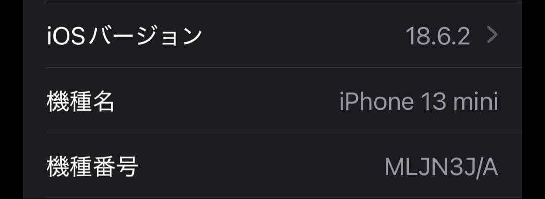 iPhone 13 mini ブルー　本体