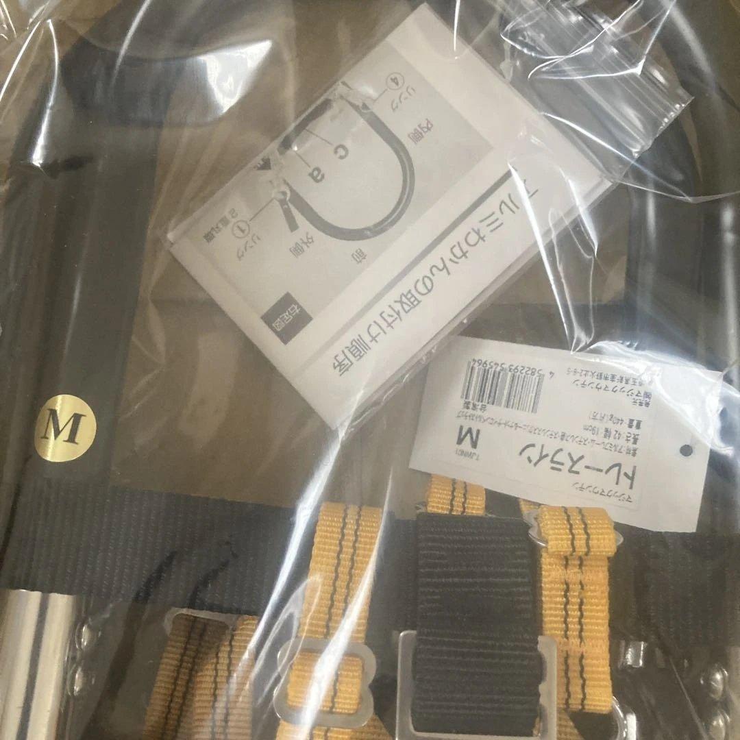 マジックマウンテントレースライン