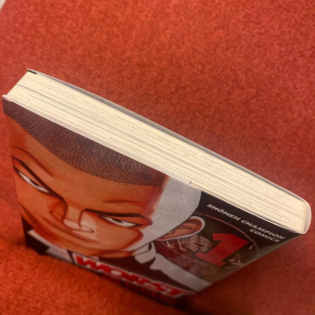 WORST全巻セット➕(WORST外伝WORST816クローズ外伝片桐拳物語)