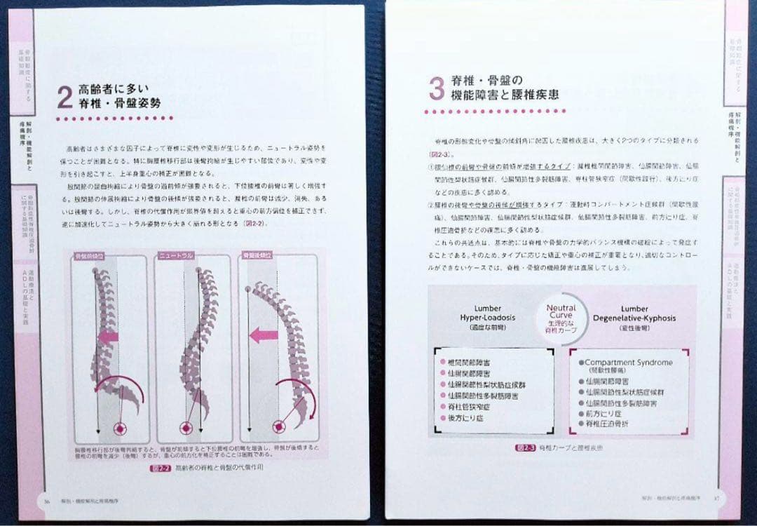 骨粗鬆症を原因とした 脊椎圧迫骨折の病態理解と運動療法