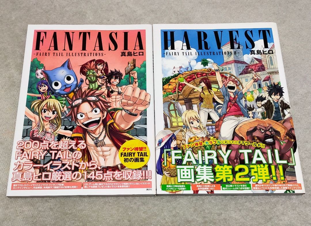 FAIRY TAIL　フェアリーテイル　イラスト集　パンフレット　真島ヒロ原画展