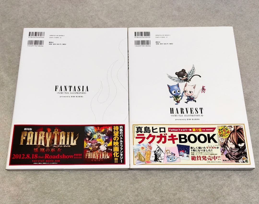 FAIRY TAIL　フェアリーテイル　イラスト集　パンフレット　真島ヒロ原画展