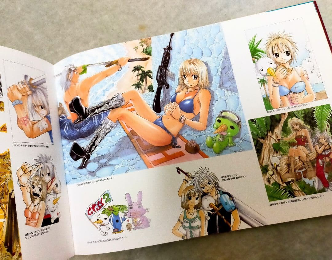 FAIRY TAIL　フェアリーテイル　イラスト集　パンフレット　真島ヒロ原画展