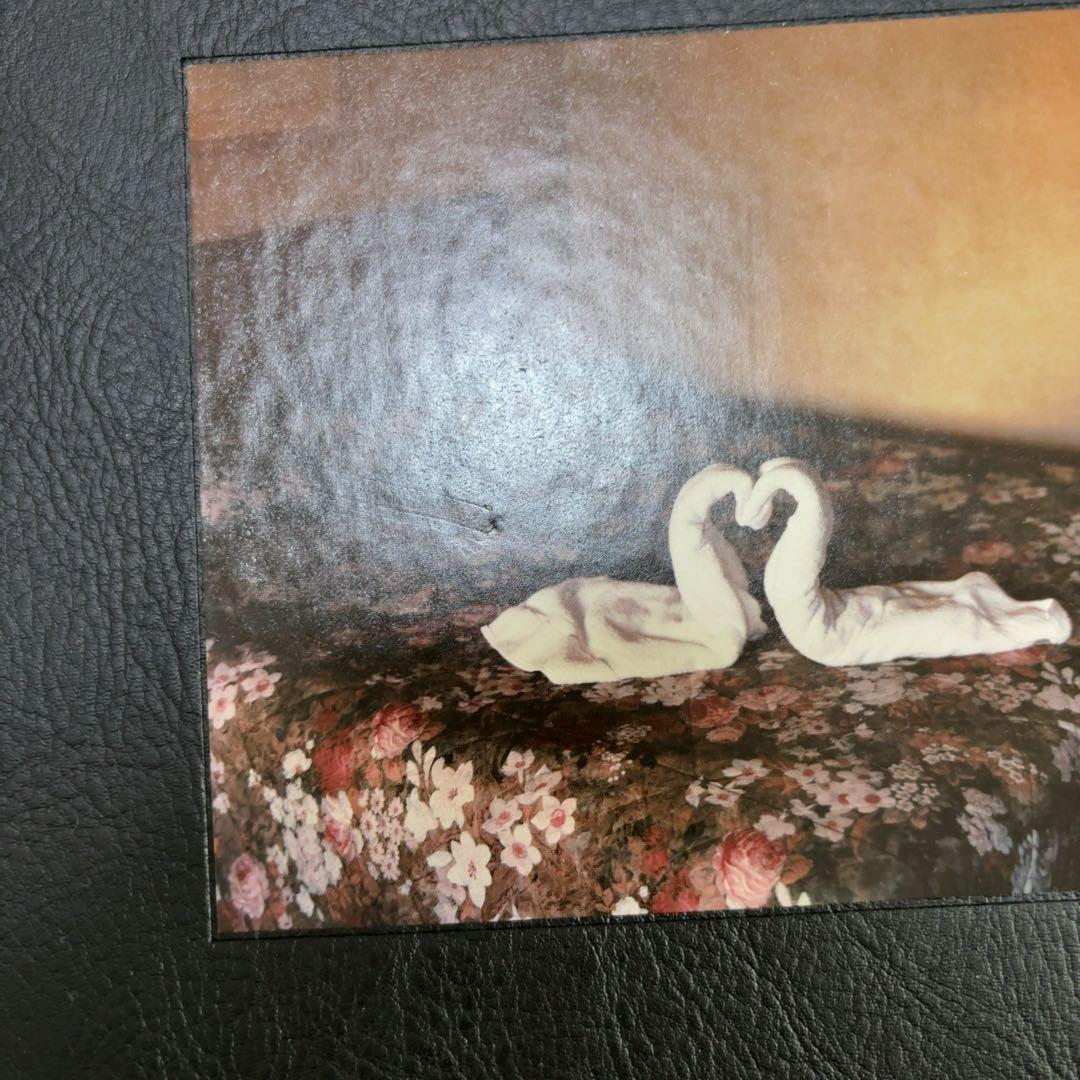 ALEC SOTH NIAGARA アレック・ソス 作品集 写真集 ナイアガラ