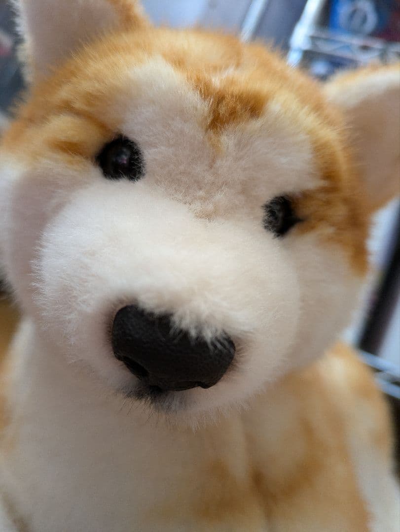 アートドール 作家 ハンドメイド ぬいぐるみ ハチ公 柴犬 秋田犬 テディベア