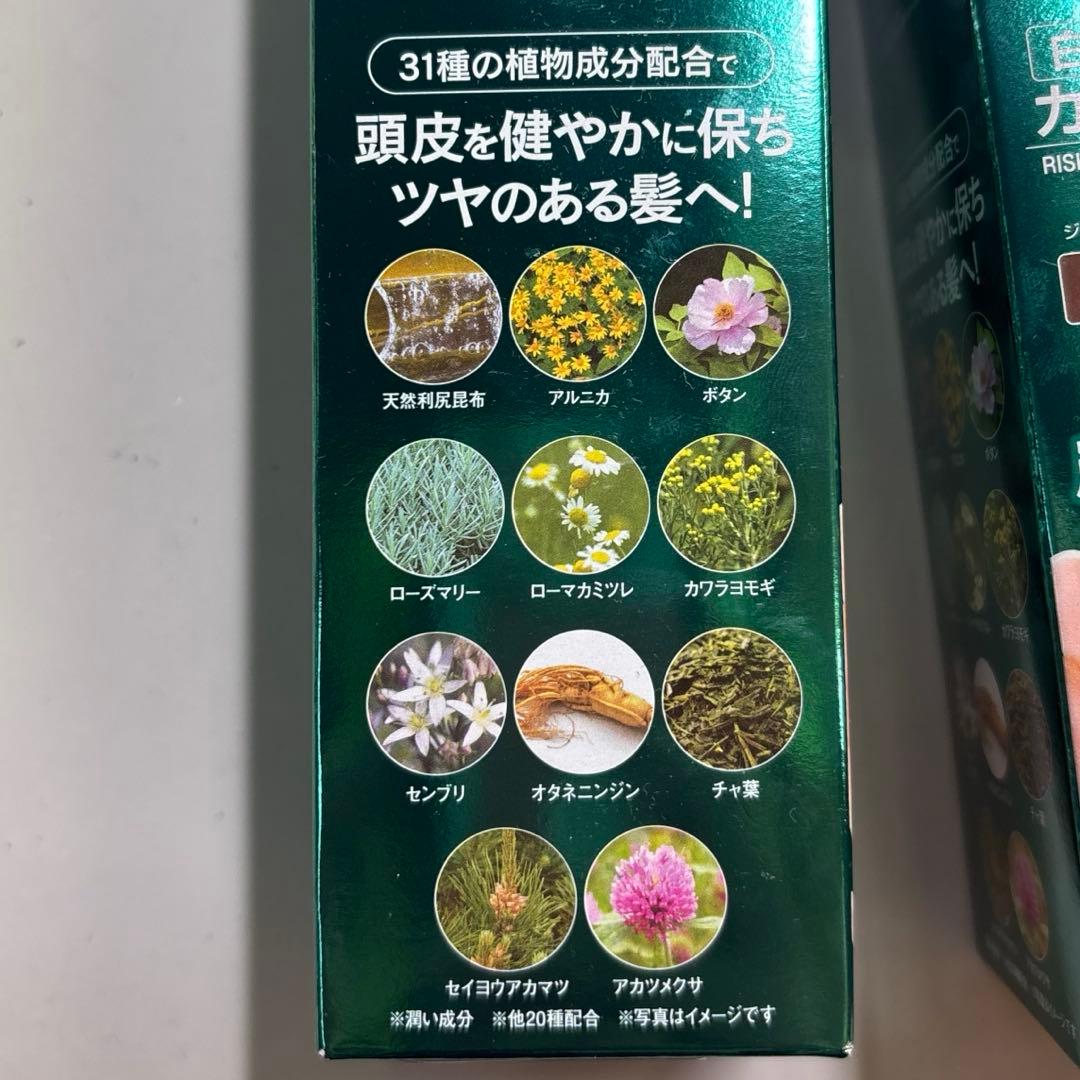 新品 利尻炭酸カラーシャンプー ダークブラウン×２本 トリートメント