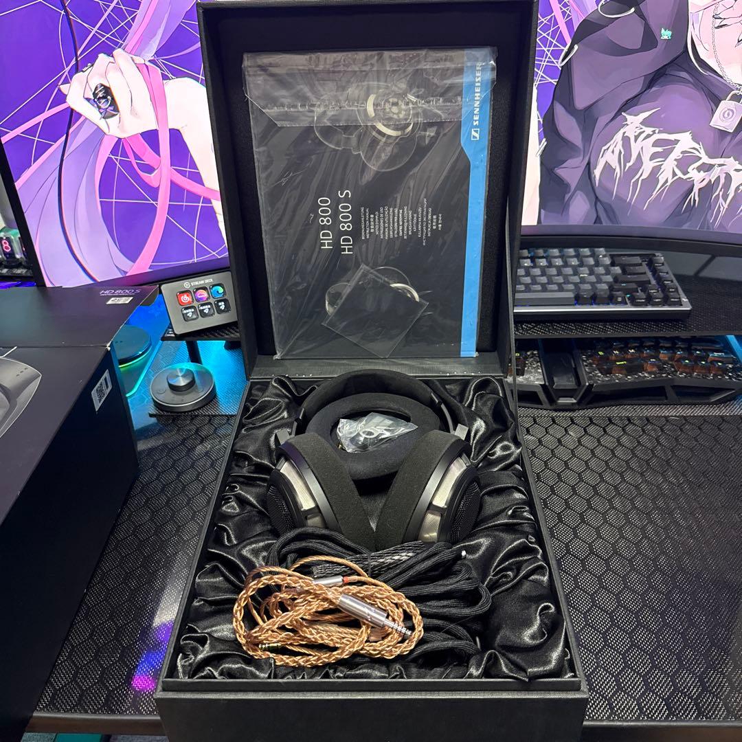 HD800S No：11206