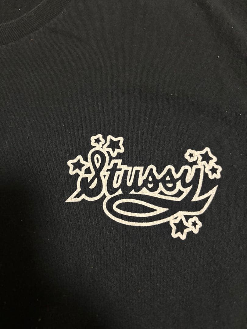 STUSSY ブラック 黒Tシャツ Lサイズ ストゥーシー ステューシー USA