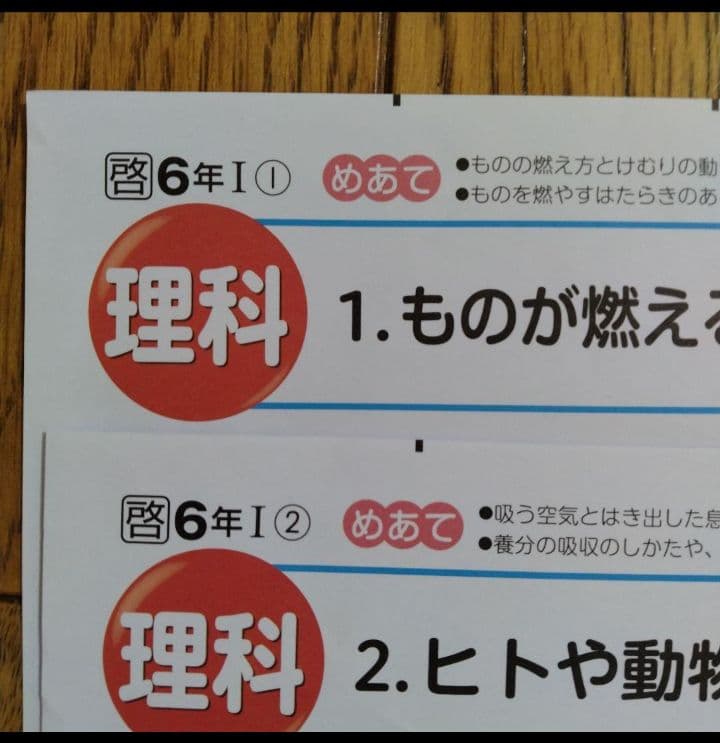 小6　理科　令和7年度　理科　カラーテスト　啓林館　青葉出版