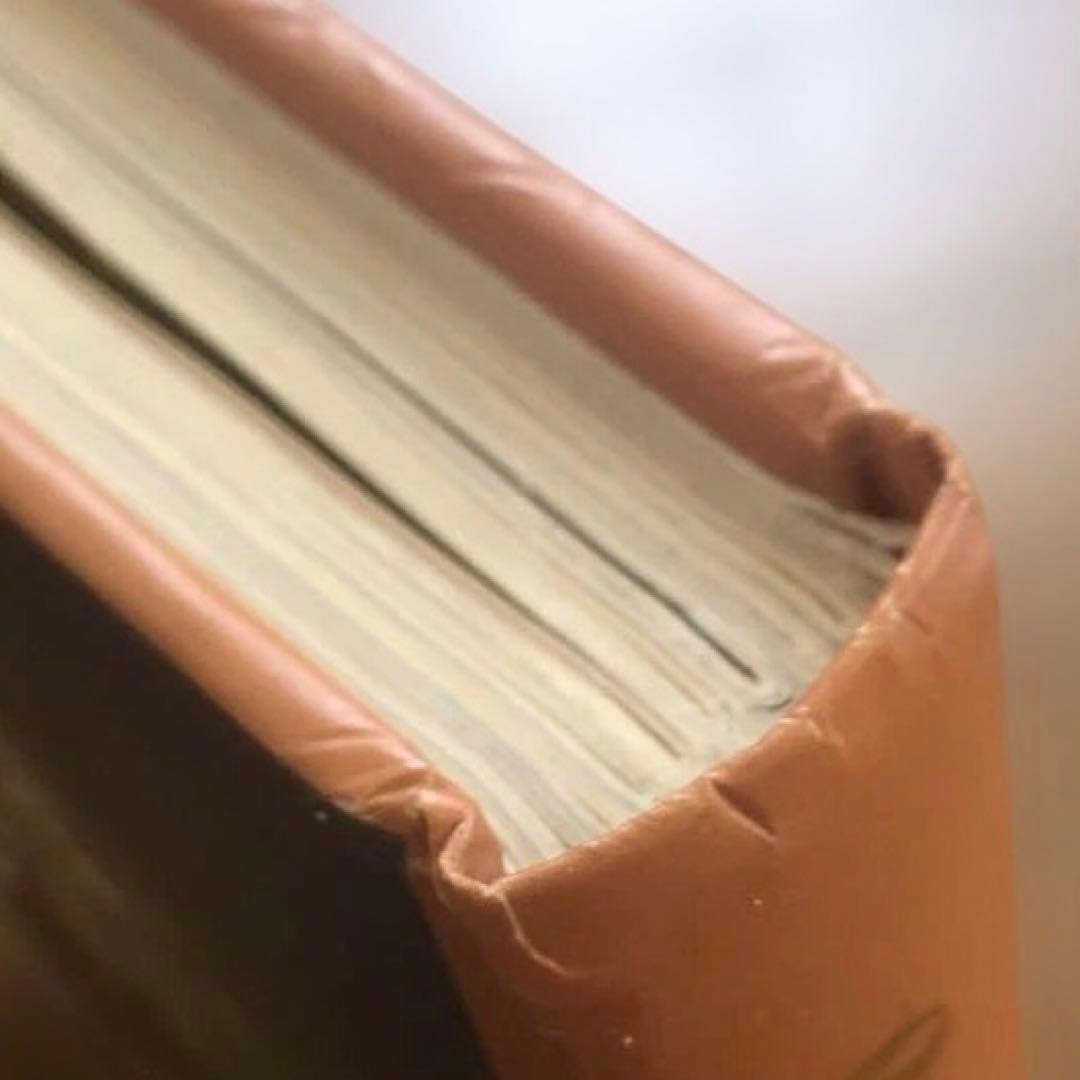 Кулинарное искусство 料理本 洋書　ロシア？　ロシア語？