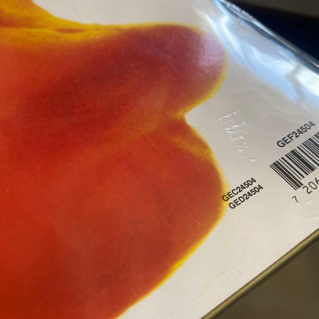 Nirvana Incesticide レコード GEF24504
