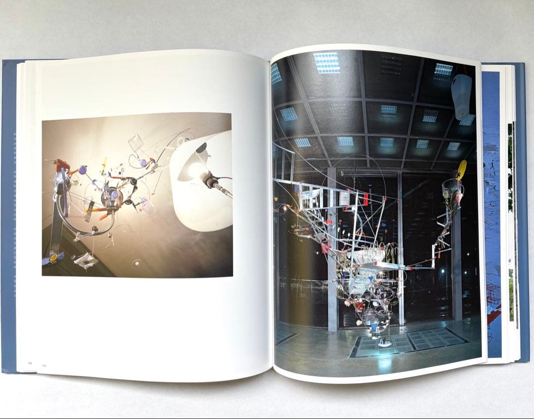 SARAH SZE 洋書