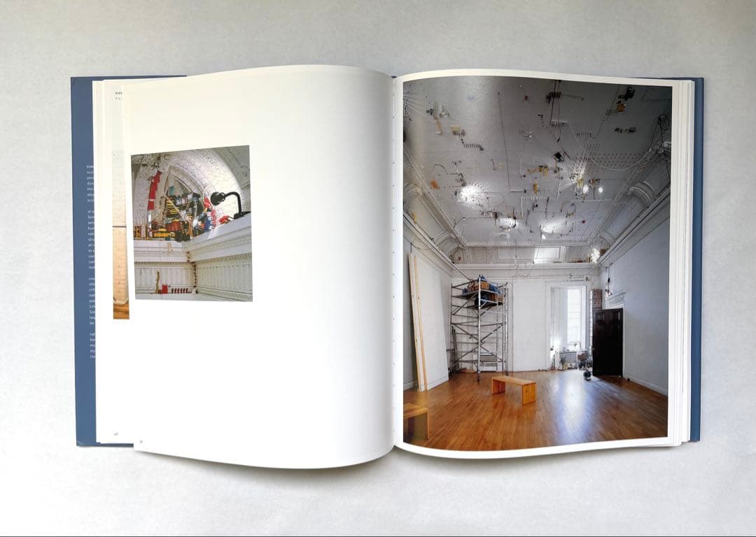 SARAH SZE 洋書
