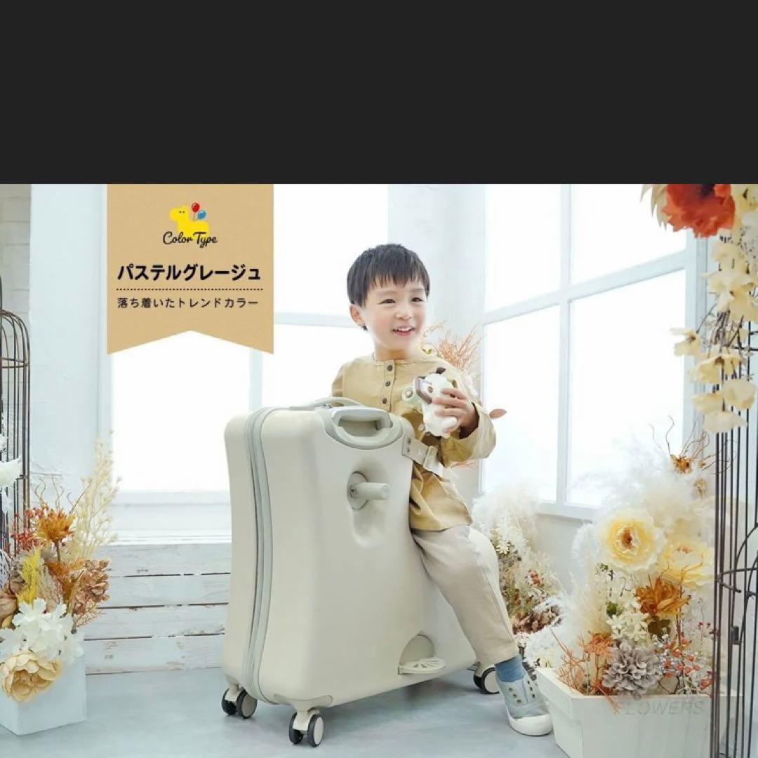 noricco 折りたたみ式スーツケース