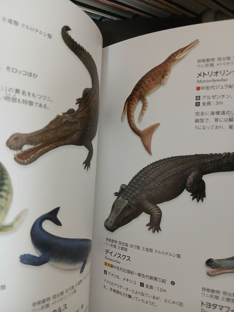 生物の歴史シリーズ 1-10巻 土屋健著