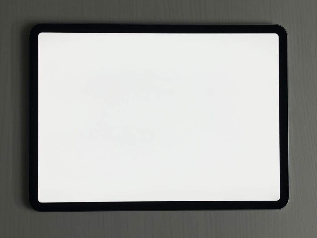 iPad Pro （11インチ）（第4世代） 256GB