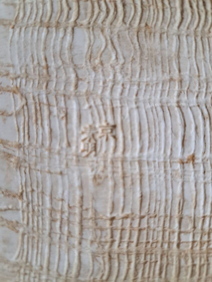 京素明　アンティーク　皿五客