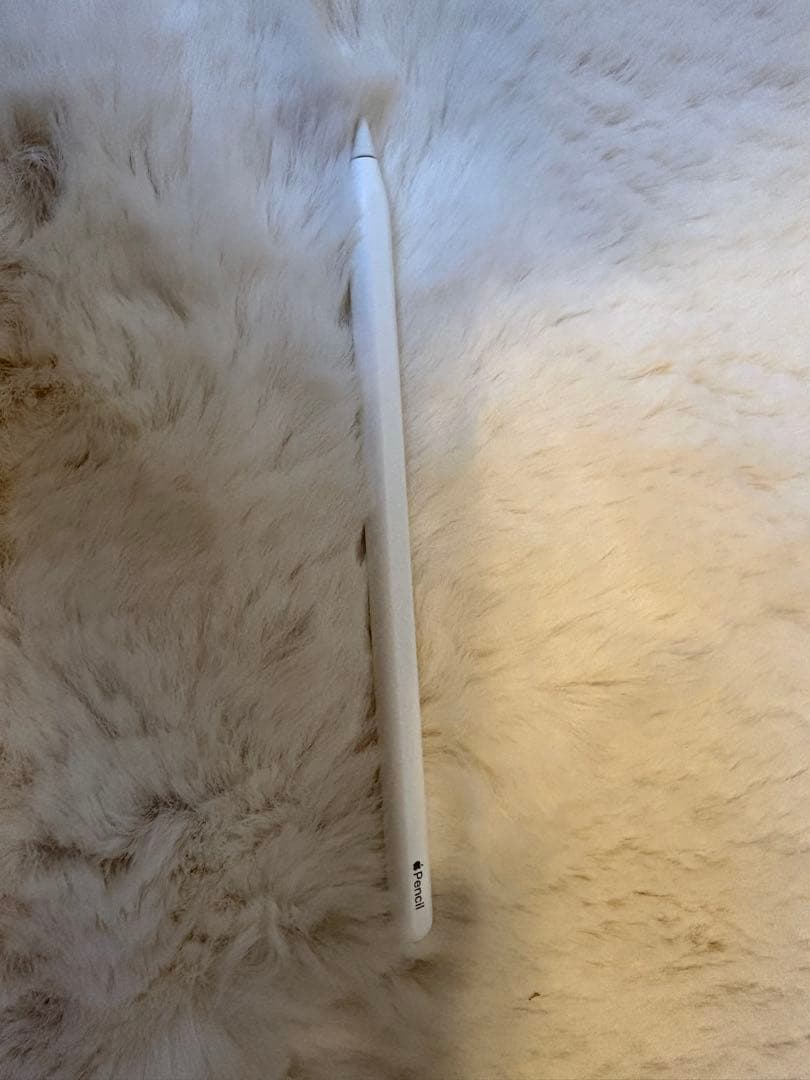 Apple Pencil 第2世代 第二世代 純正 箱あり 動作確認済