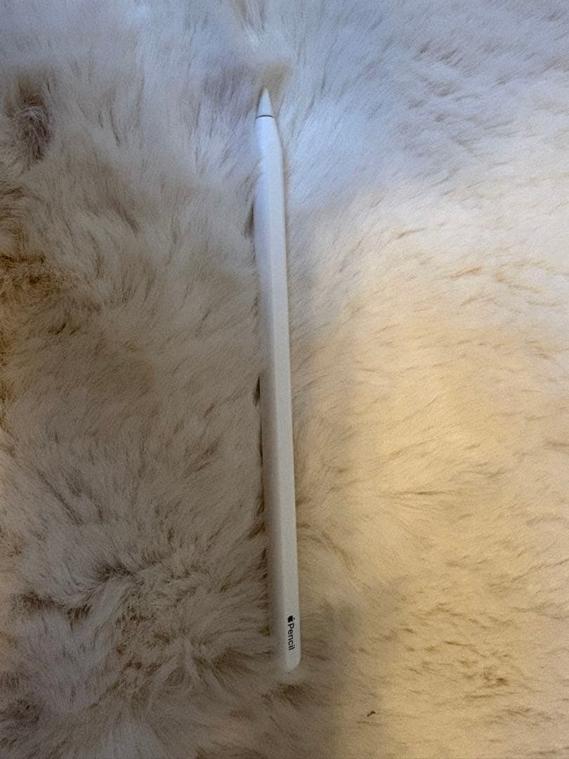 Apple Pencil 第2世代 第二世代 純正 箱あり 動作確認済