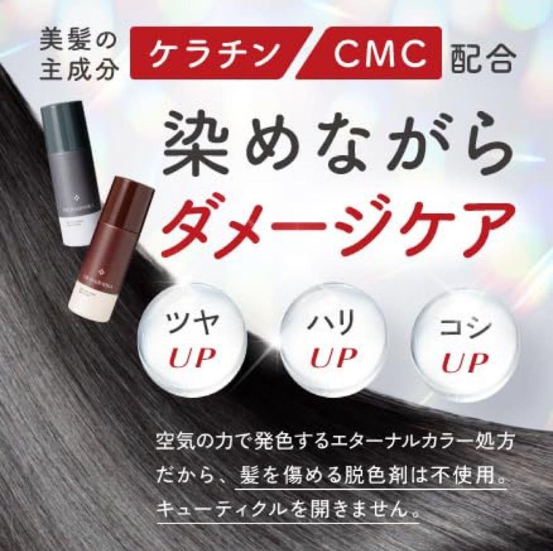 ( DR. HAIRMIKA ドクターヘアミカ　白髪染め　ダークブラウン4個