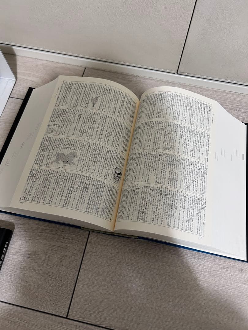 広辞苑 第七版 岩波書店