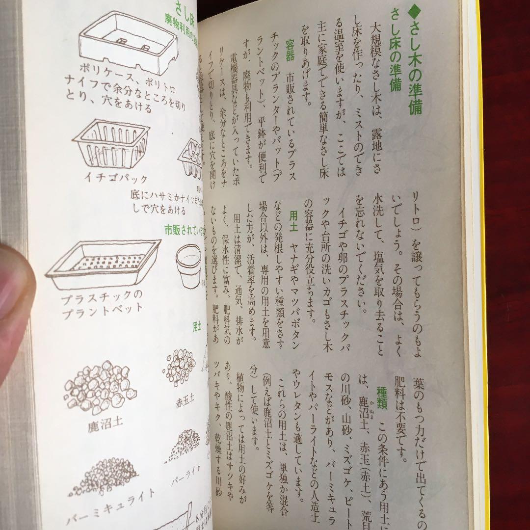 カラー版絵とき　さし木　つぎ木の楽しみ方　湯浅浩史　池田書店