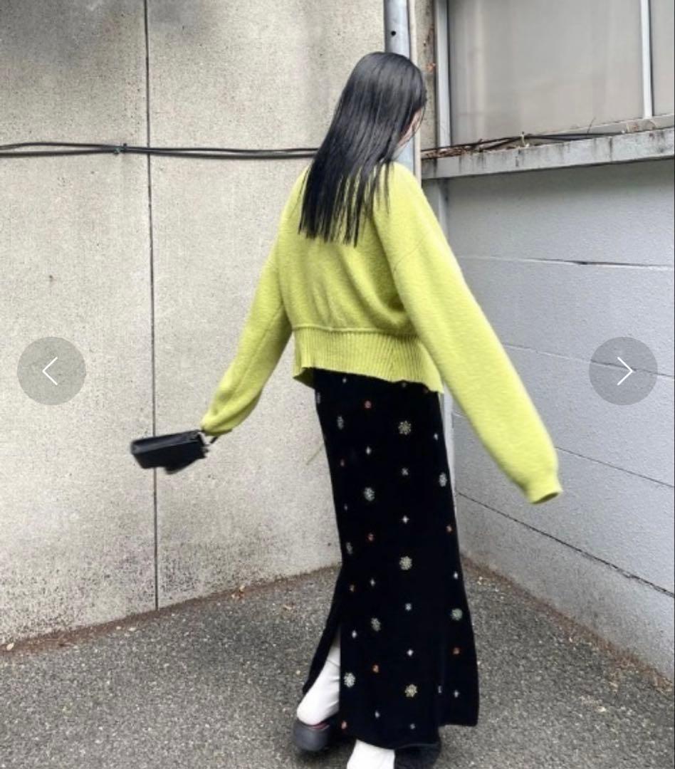 スカート Ameri GLITTER EMBROIDERY VELOUR SKIRT