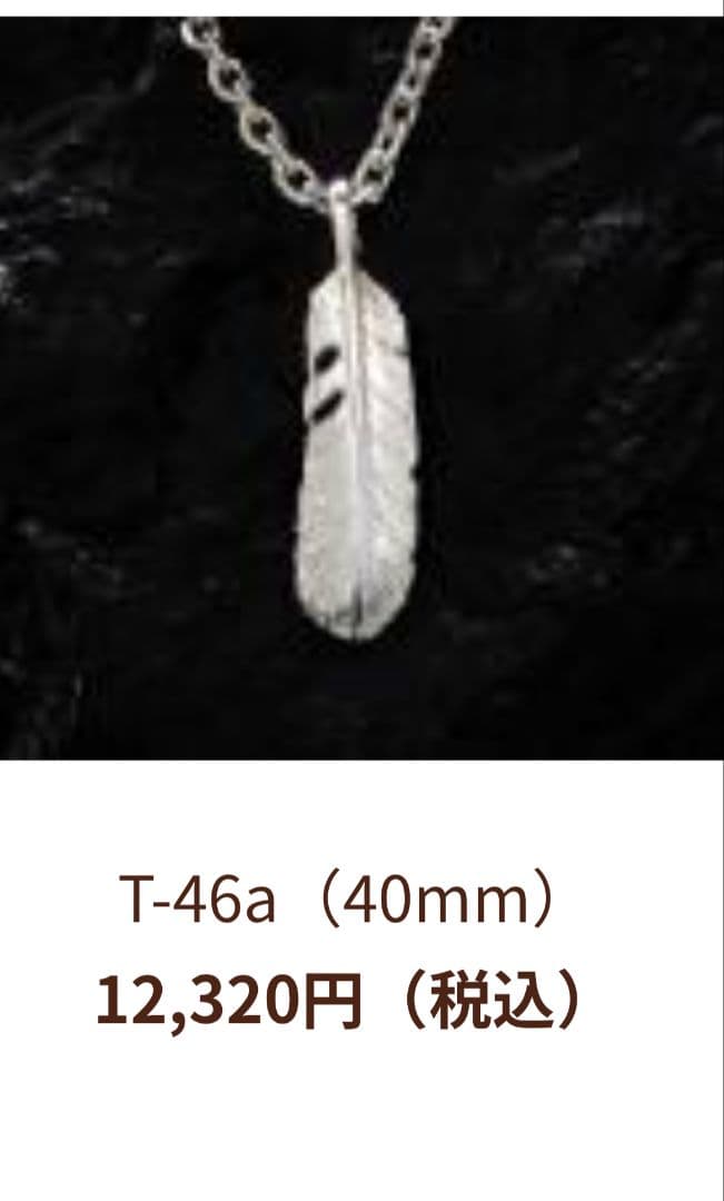 極美品アリゾナフリーダム　Newノーマルフェザー 40mm ペンダントトップ