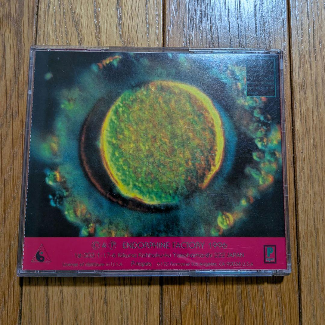 邦楽 C.C.C.C. / Love & Noise