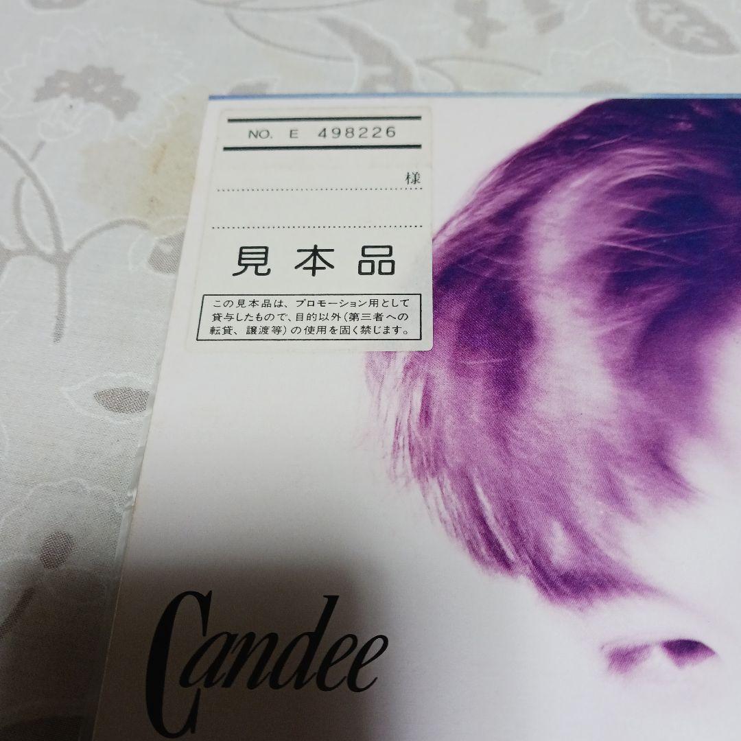 Candee レコード 見本品