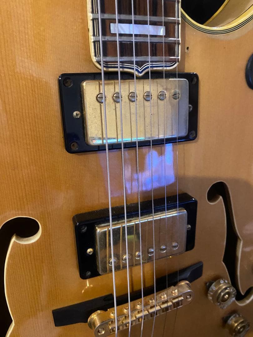 Greco / BR-110N Birdland ステッカーナンバードPAF搭載