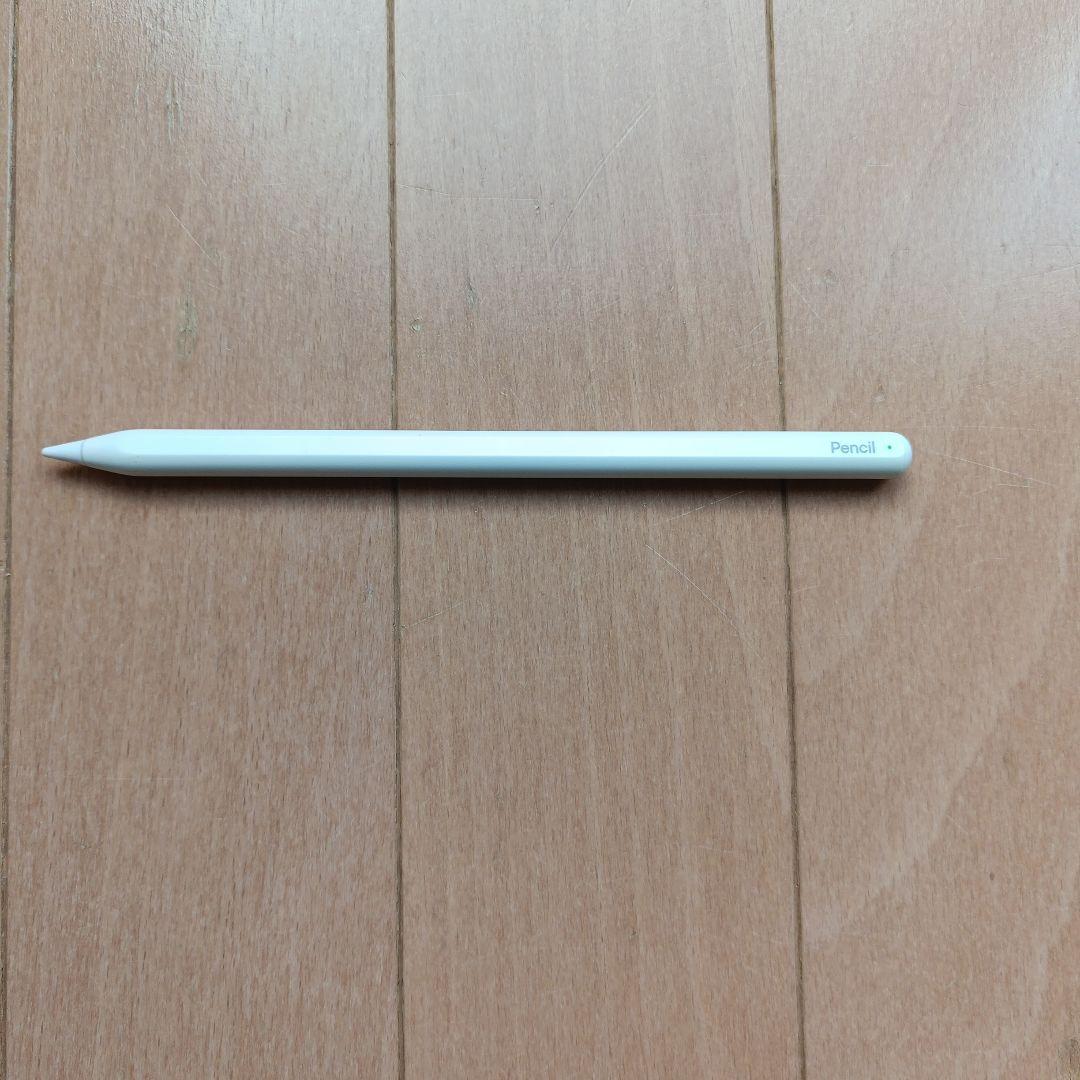 甘天様用　iPad Pro 11インチ 256GB　セルラーモデル　 おまけ付き