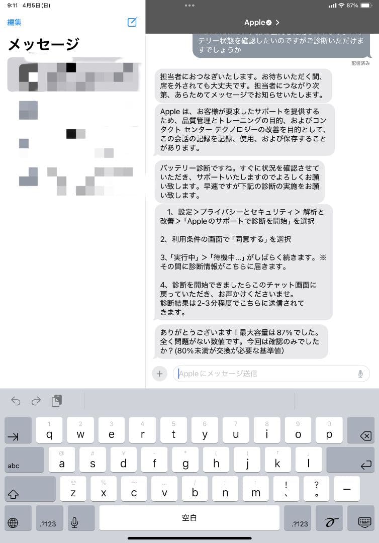甘天様用　iPad Pro 11インチ 256GB　セルラーモデル　 おまけ付き