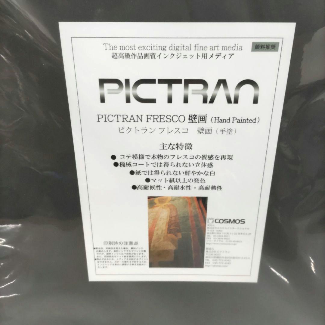 【新品】印刷用紙 ピクトラン フレスコ 壁画 DFP-FR-A3+ 2枚入り4箱