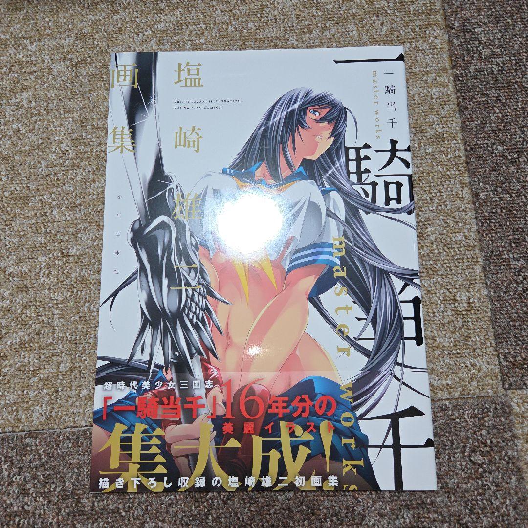 一騎当千　真・一騎当千　全巻セット　画集付き　美品