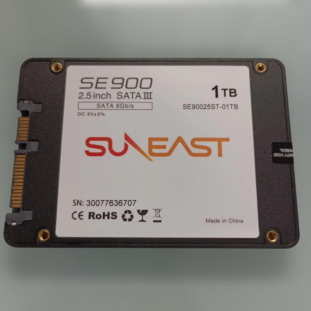 SUNEAST 1TB SSD SE90025ST-01TB 10時間