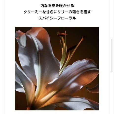 新品未使用　イヴ・サンローラン　リブレオーデパルファムフローラル　50ml