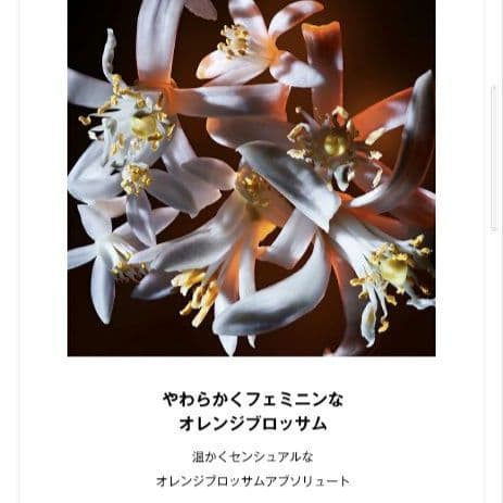 新品未使用　イヴ・サンローラン　リブレオーデパルファムフローラル　50ml