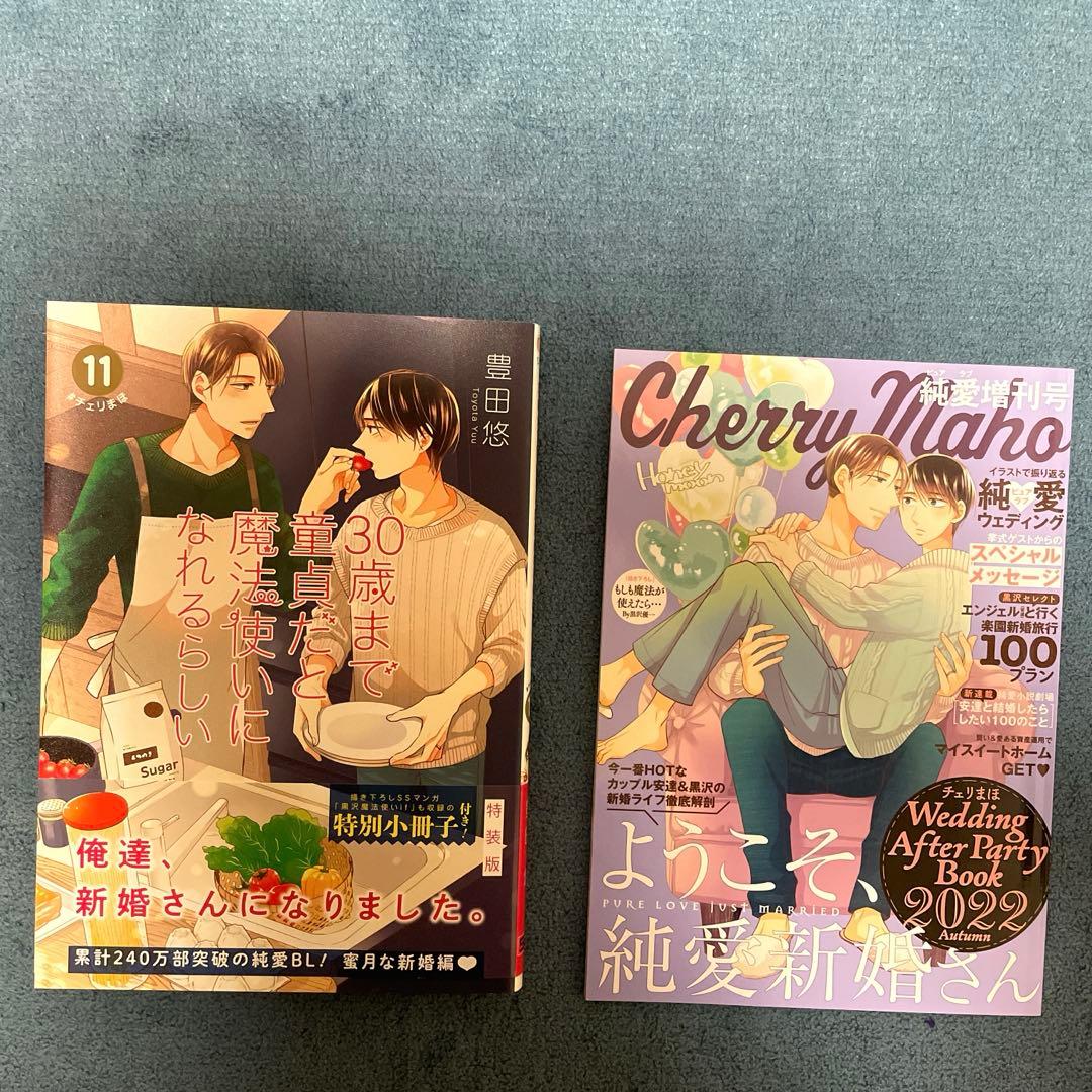 ※バラ売不可、特装版込 30歳まで童貞だと魔法使いになれるらしい 1巻〜12巻