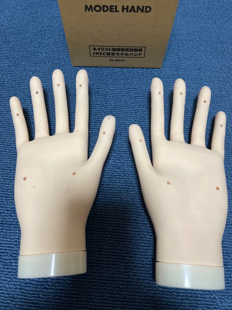 JNA認定ハンドモデル