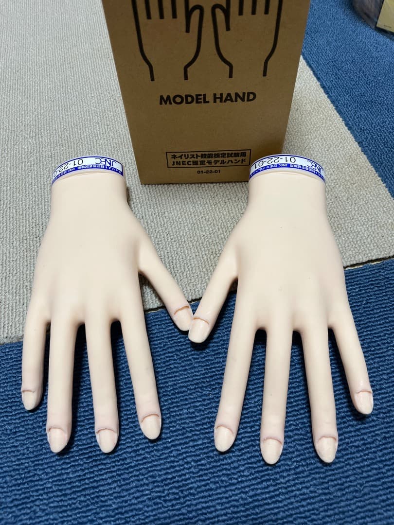JNA認定ハンドモデル