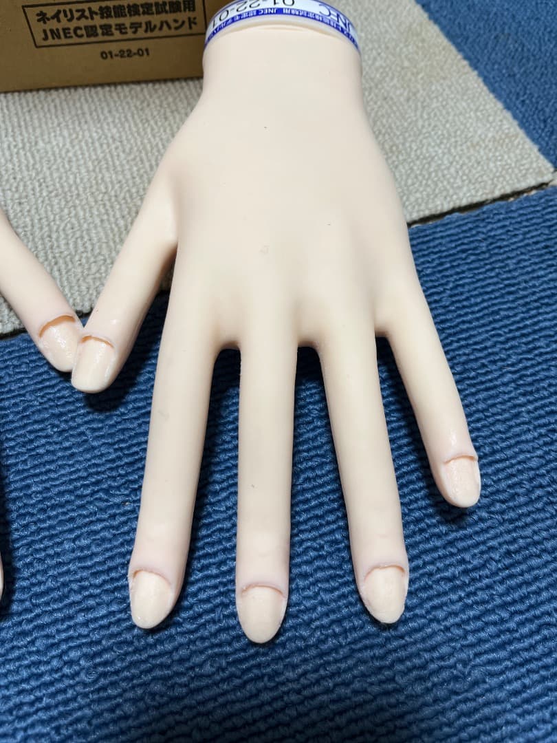 JNA認定ハンドモデル