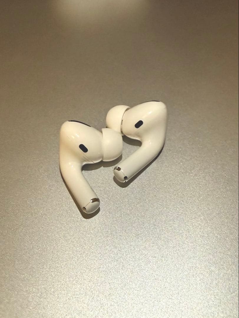 AirPods Pro エアーポッズプロ 1世代　本体