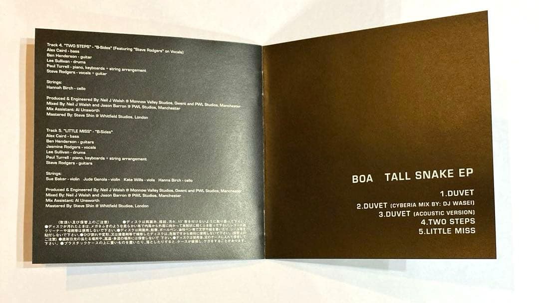 【アニメ】lain レイン OP収録 (boa / tall snake ep)