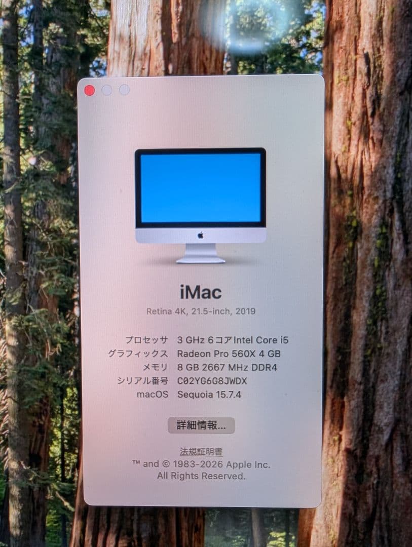 Retina 4K ディスプレイ 21.5 インチ iMac 2019 元箱つき