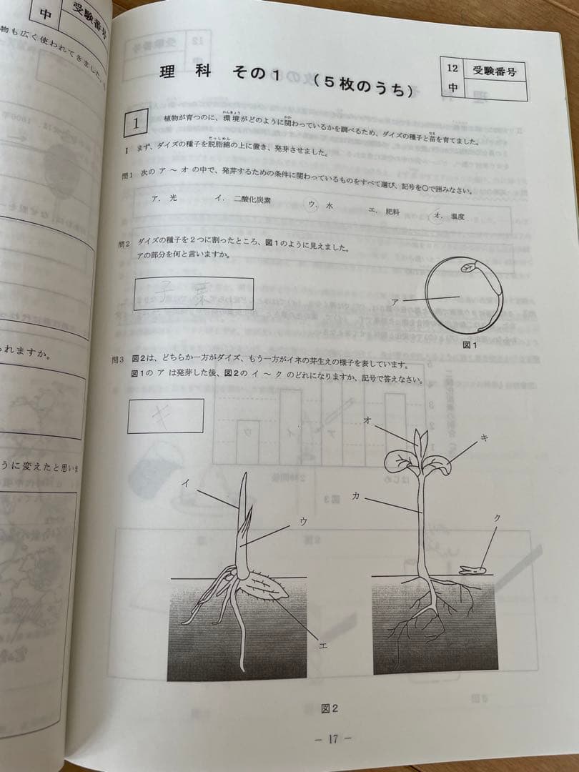 武蔵中学　過去問2011年〜2015年度
