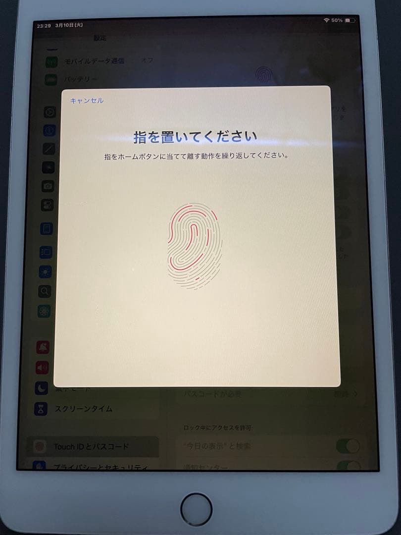 iPad本体 iPad mini5 Cellular 87%