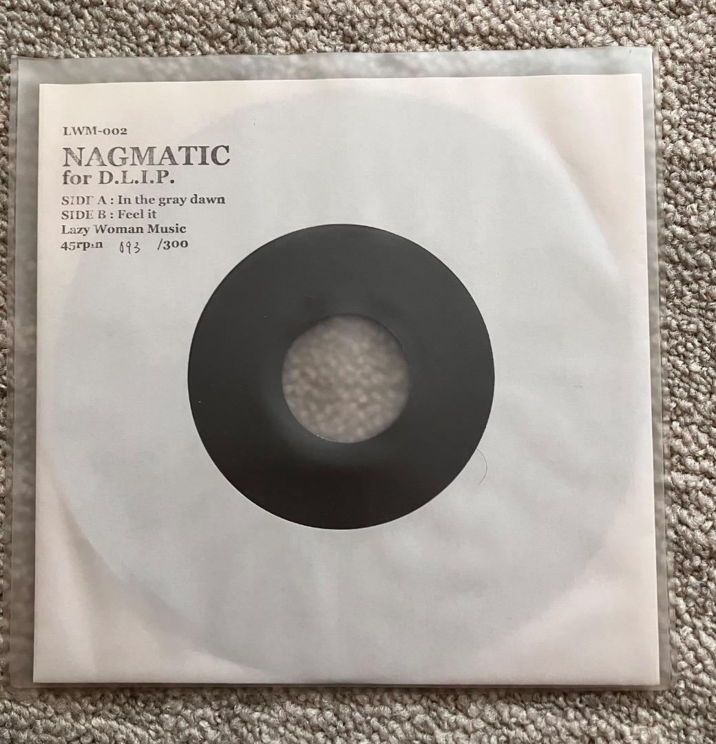 BLAHRMY関連レコード２枚セット／おまけ有り7inch、ステッカー