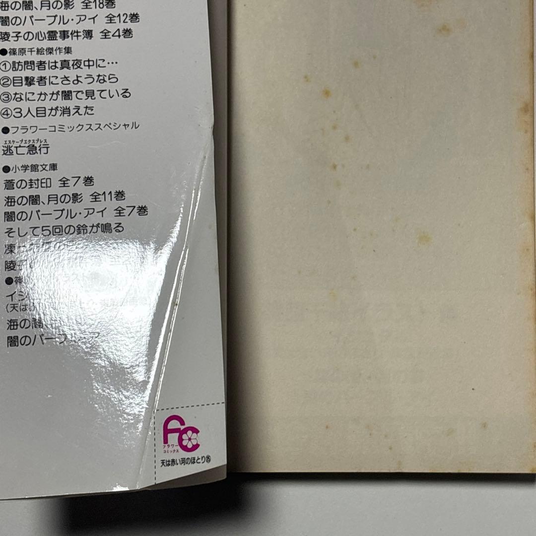 天は赤い河のほとり 天は赤い川のほとり 篠原千絵 全巻セット 全28巻＋関連本
